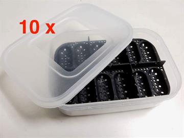 10 x EGG-BOX-Small
